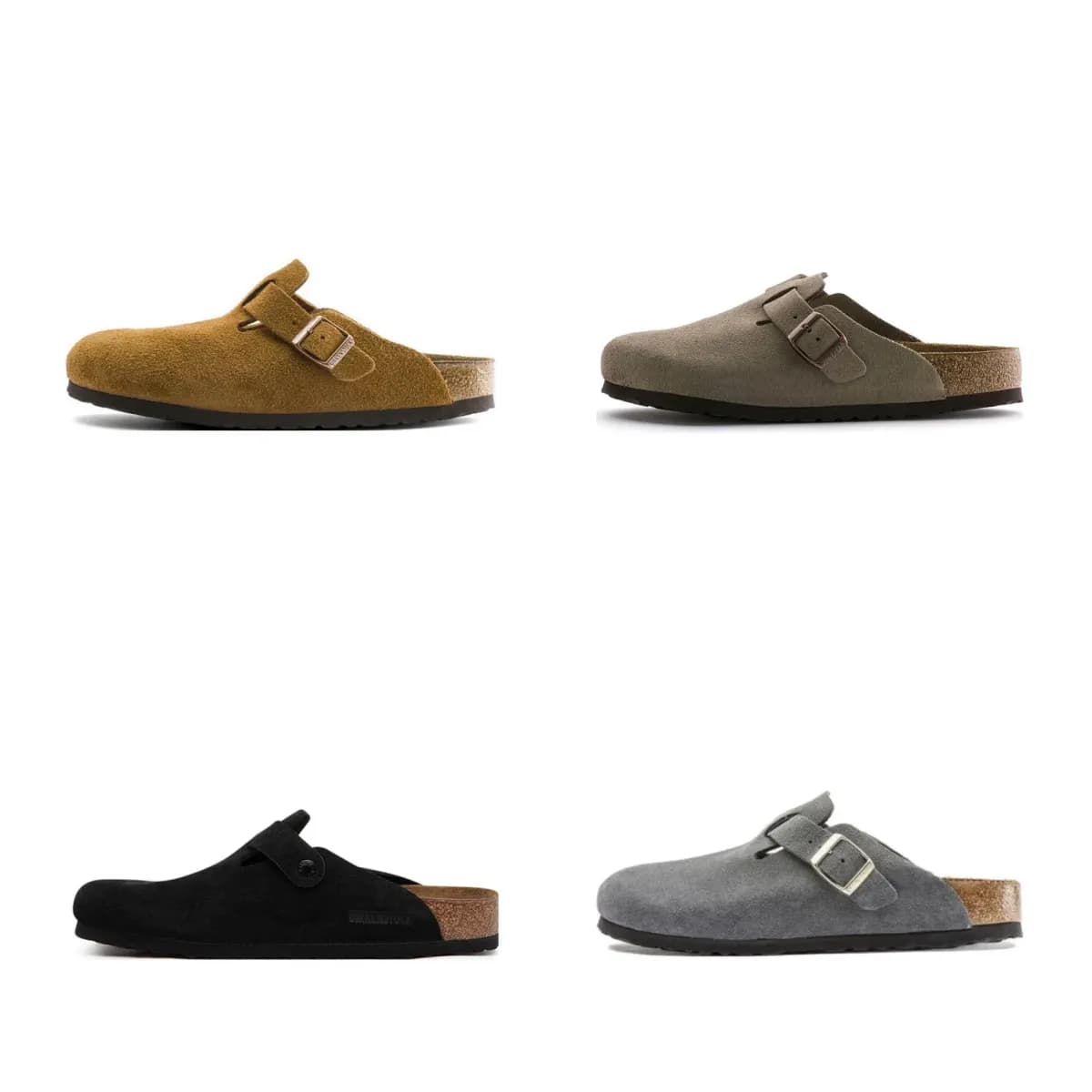 Bos ton G X version 55 - OrientDig Spreadsheet