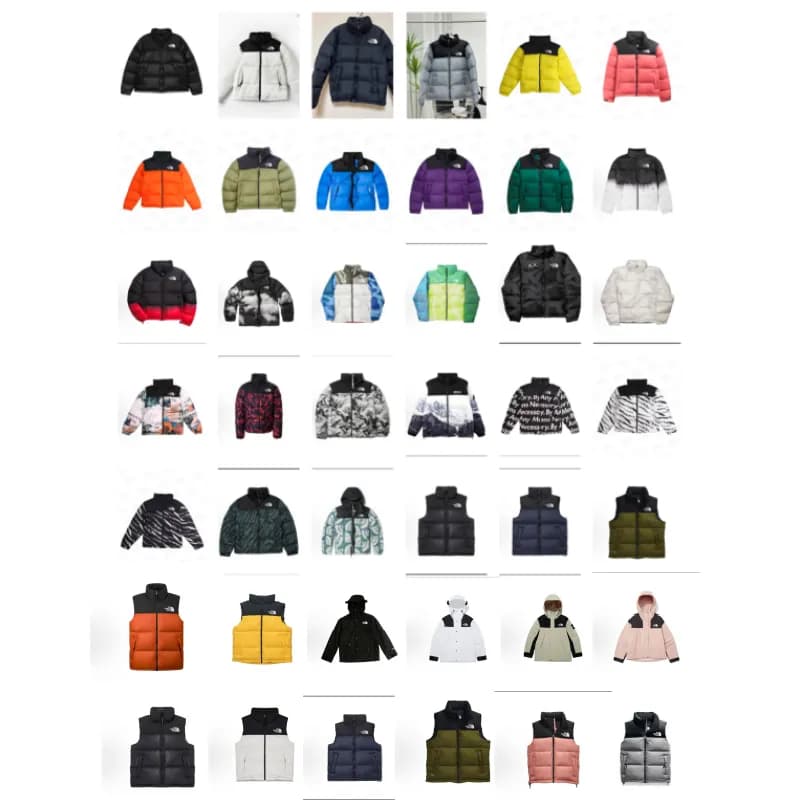 No1rthern down jac*ket (30) - OrientDig Spreadsheet