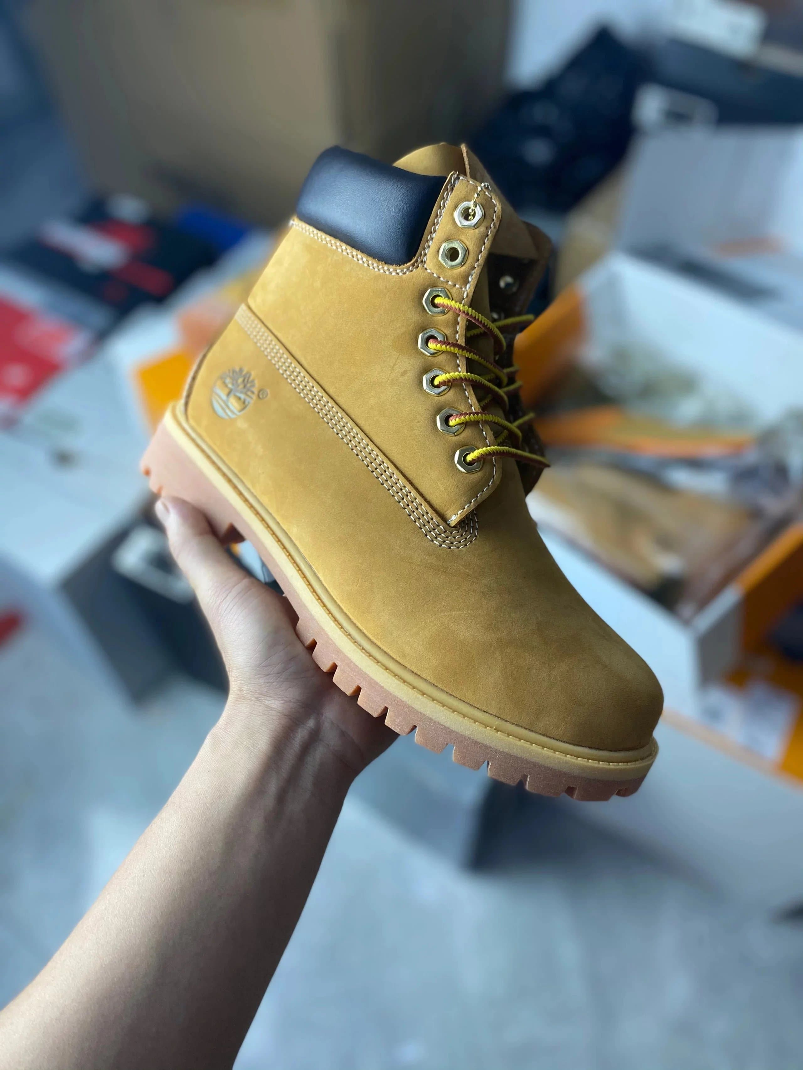 DG vs - OrientDig Spreadsheet