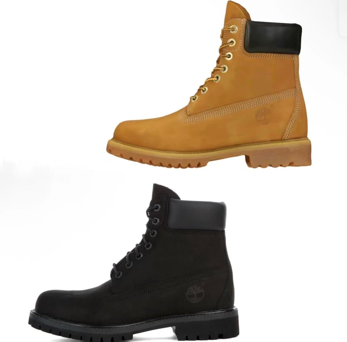 10061 48 - OrientDig Spreadsheet