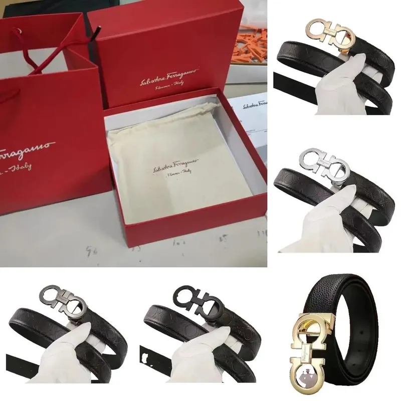 Fashion Belt (No Box)